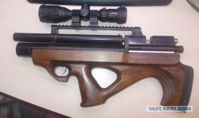 Бронежопый кот