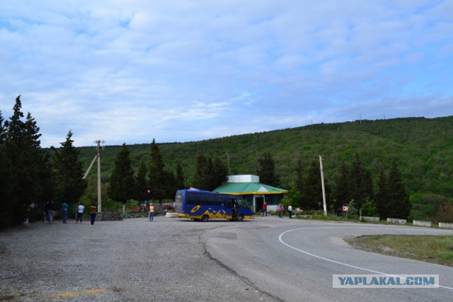 Отдых в Крыму 2014