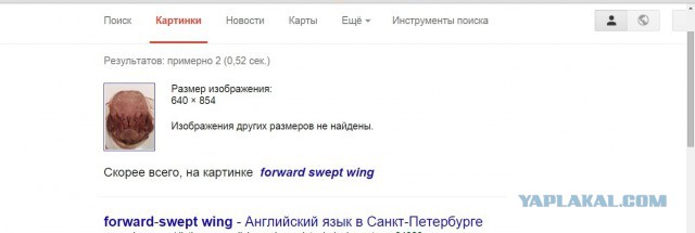 Я один это вижу?