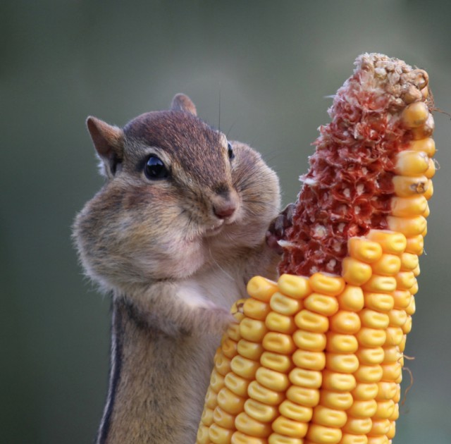 Лучшие фотографии ноября месяца