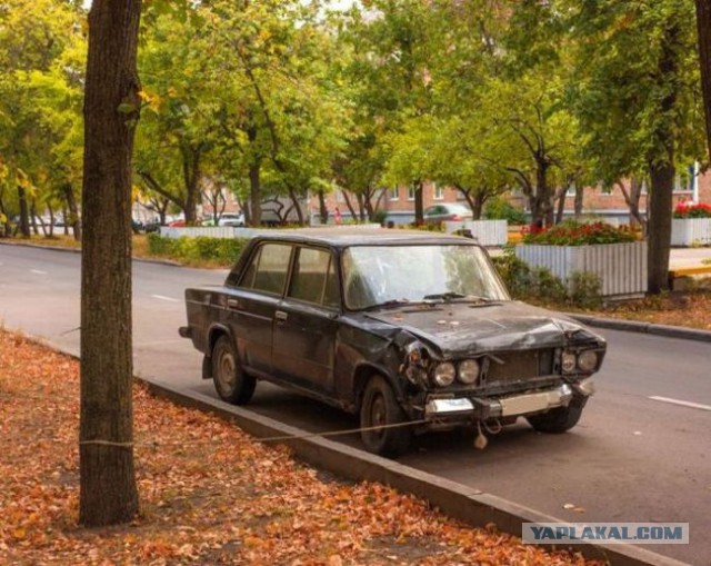 Картинки и юмор