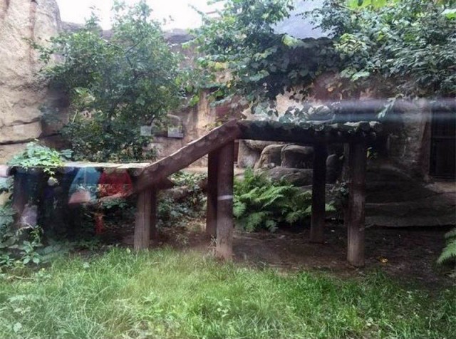 Как я интересно в зоопарк сходил