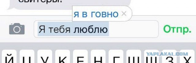 Подборка прикольных фото на среду