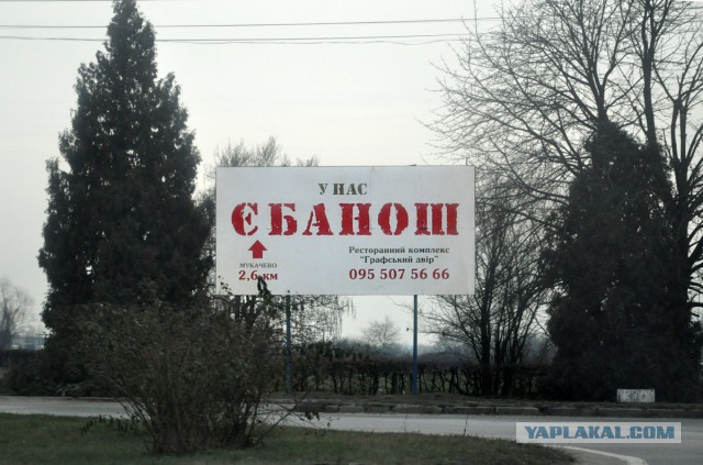 Весёлые картинки