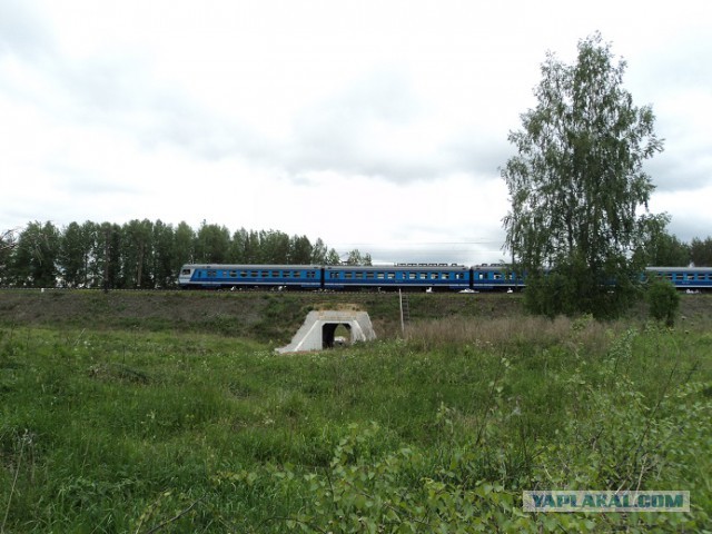 Приезжайте в деревню