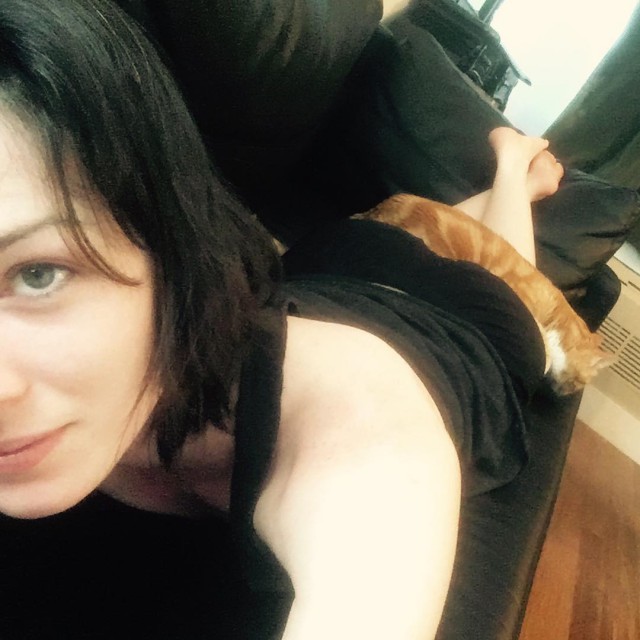 Котовторник 28.02.2017