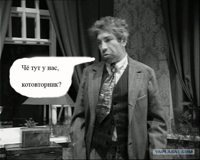 Ура, котовторник! (01.07.2008)