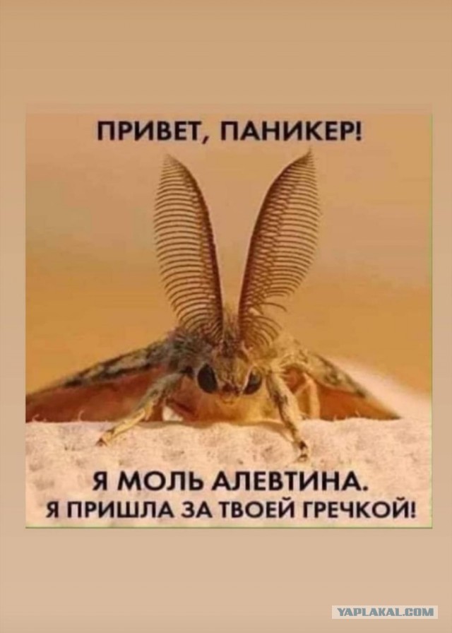 Коронавирус COVID – 19. Россия и мир.Часть 8
