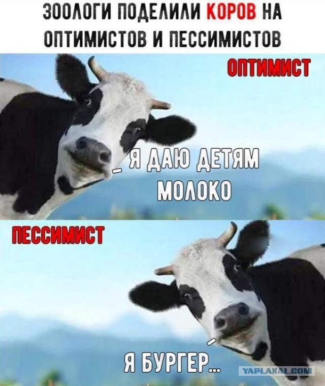 Бредзона 13.04.2020