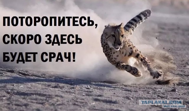 Справедливо ли, что женщины жрут наравне с мужчинами?