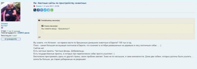 Стая собак заживо загрызла пенсионерку в бурятском селе
