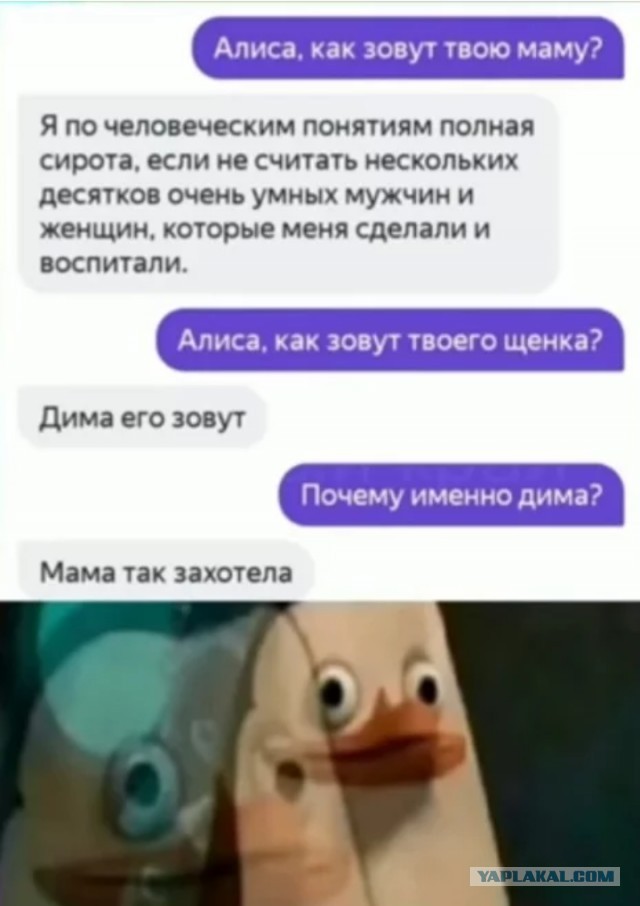Так себе картинки 01.08.21