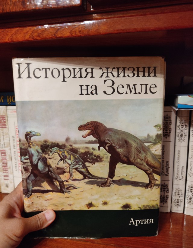 Книжка из детства, которую вы перечитывали несколько раз?