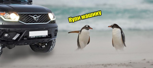 Лучшие фото конкурса Comedy Wildlife Photography Awards 2021