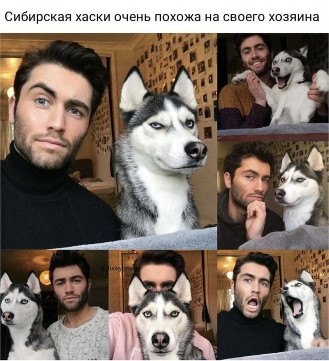 Всяческие картинки 17.11.2021