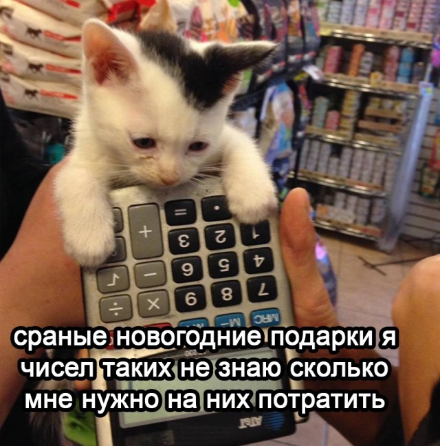 Так себе картинки 12.12.21