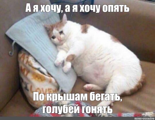 Я готов, я это сделаю