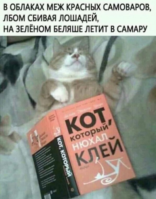 Чуток картинок 16.02.22