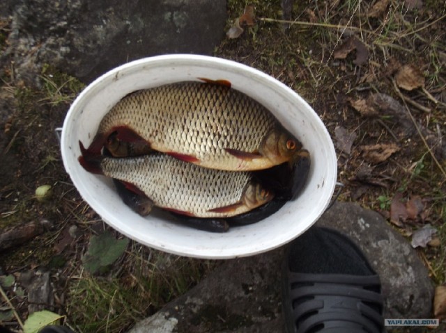 Рыбалки псто