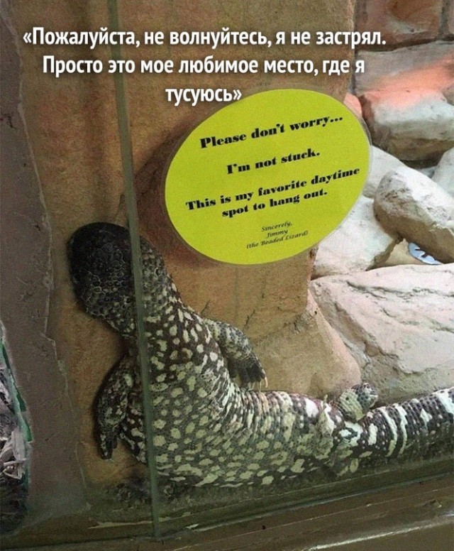 Картинки и мемы для настроения - 107