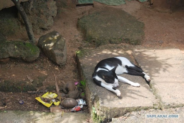 ГоА свои впечатления