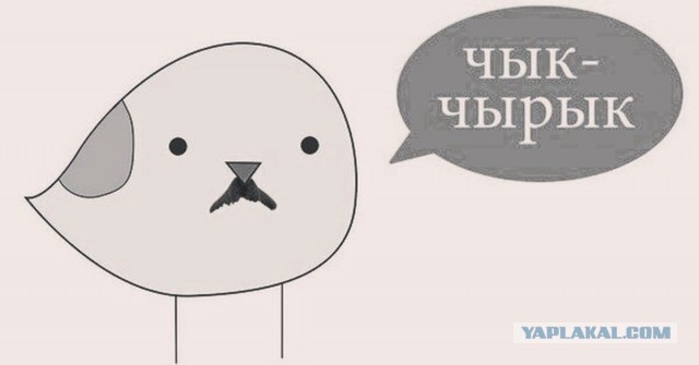 Работа мечты