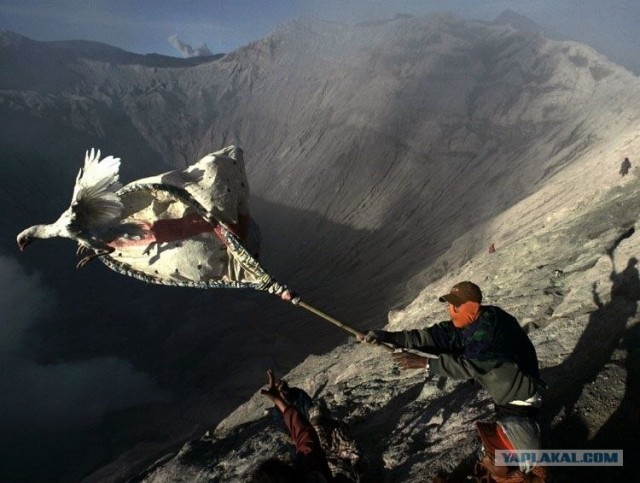 Лучшие фото 2008 года по версии Шпигель
