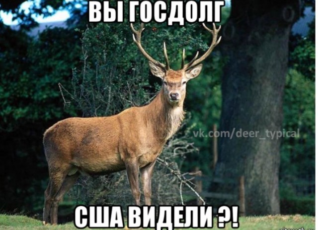 Китай подключается