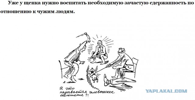 Случай с участием собаки, выбивший меня из колеи