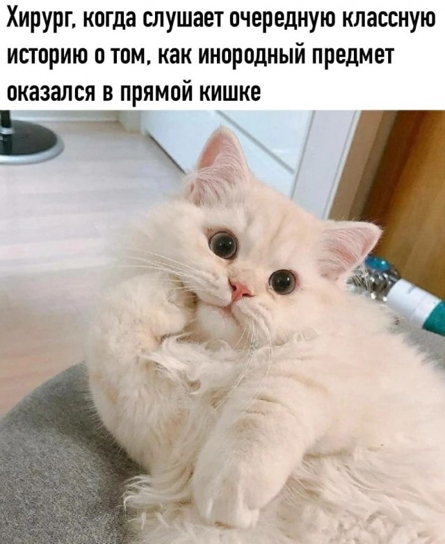 Так себе картинки 08.04.23