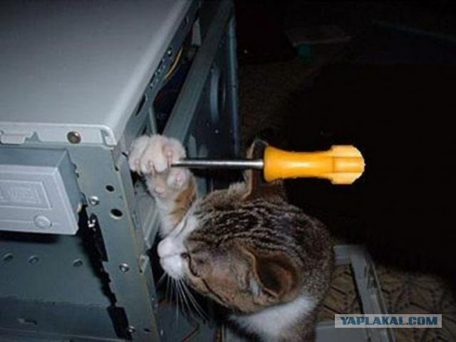 Ну ты, коробка хренова, я жрать хочу!