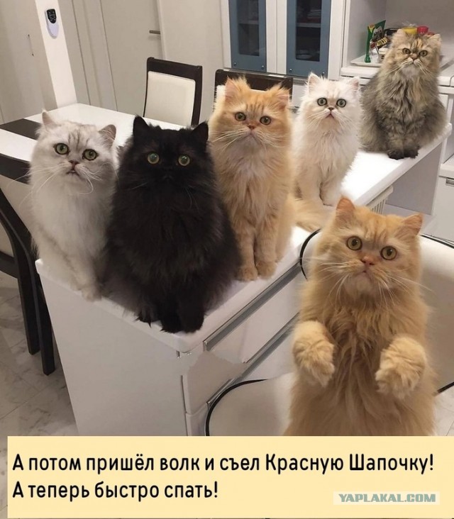 Школа джедаев. Начало