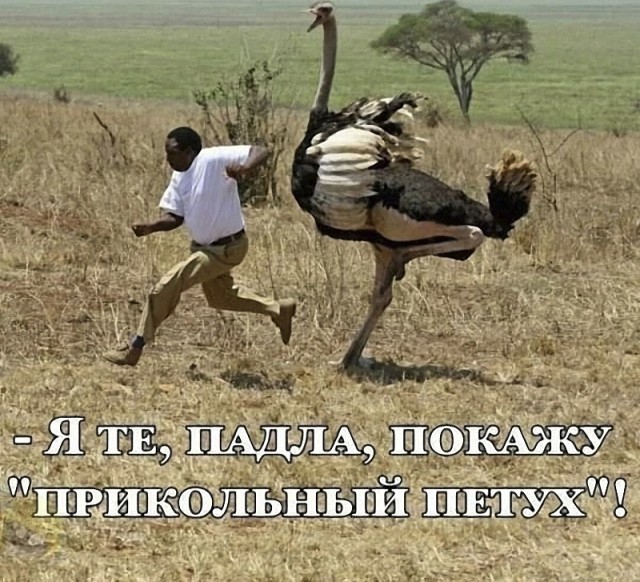 Немного картинок и прочей хреноты Vol. 25