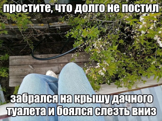 Всего понемногу. От 21.06.2024