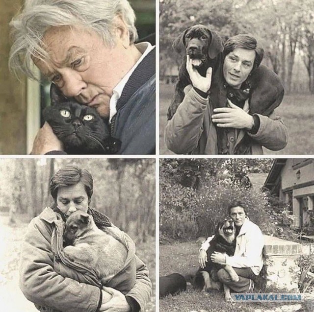 История для всех