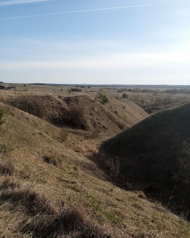 Палеонтология