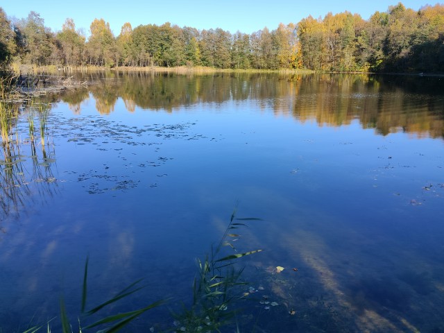 Осень на озёрах 2