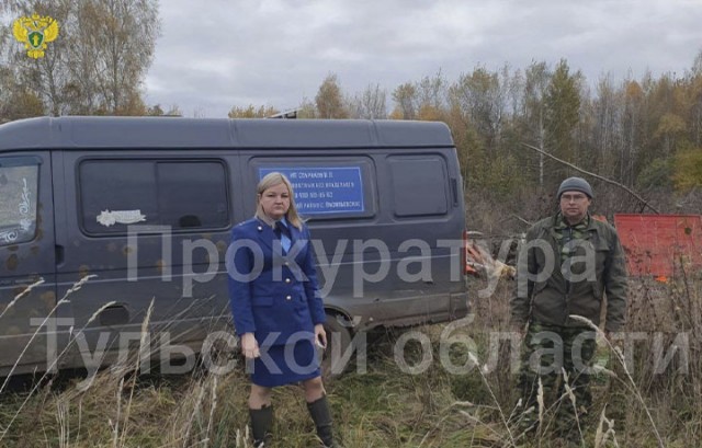 Голодные псы, растерзавшие женщину в Кимовске, приехали с хозяином из Москвы