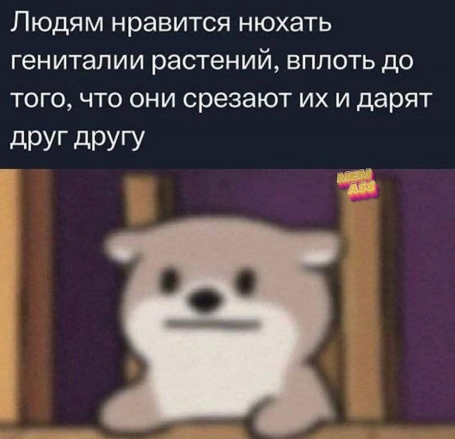 Маленькая пятница.