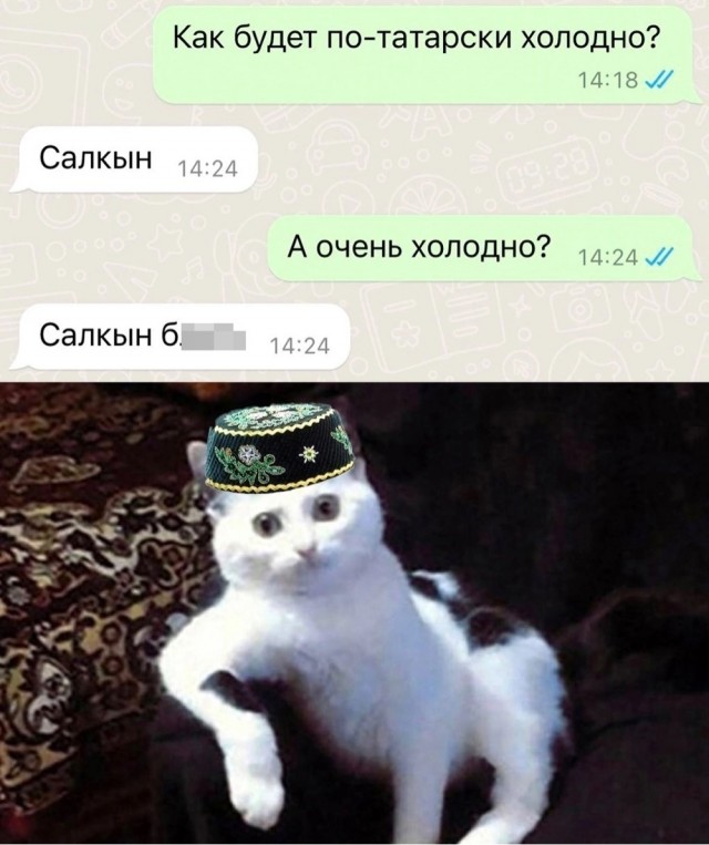 Весёлый полтишок 06.12.24