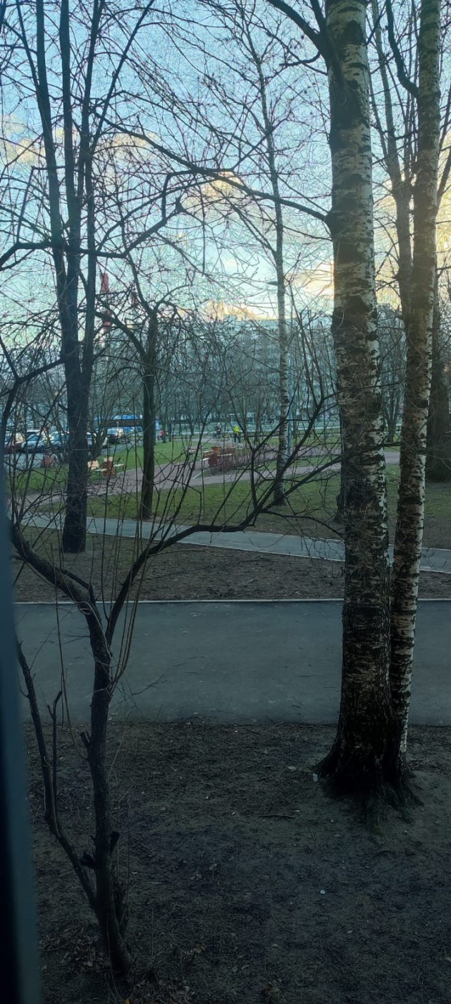 Про новогоднюю погоду
