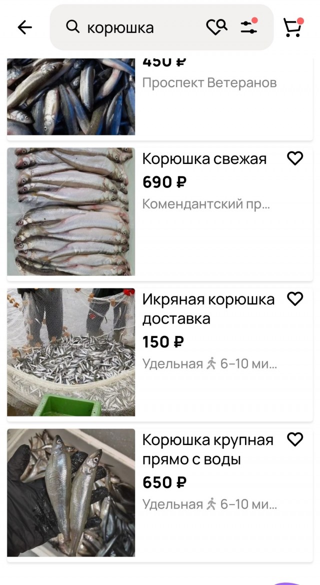 Поперла по 2100 за кг. Жителей Ленобласти потрясли новые цены на корюшку