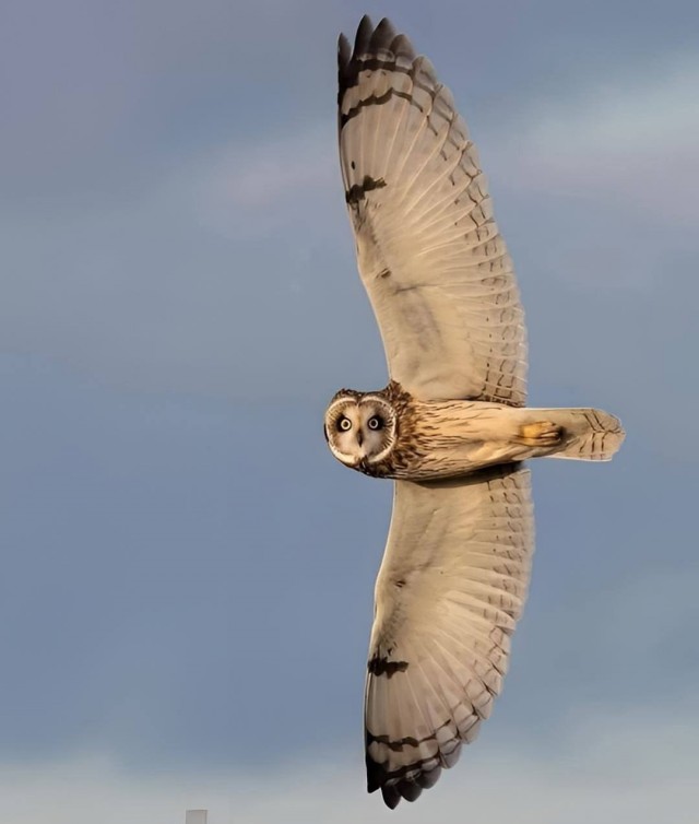 Прикольные и просто красивые картинки 04.04.2025