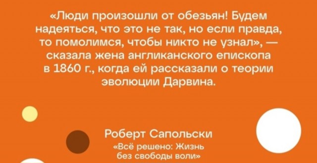 Так себе картинки 29.06.25
