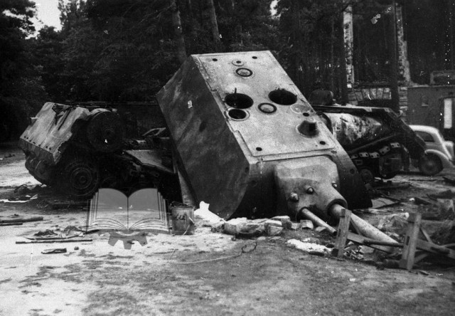 Личинка ИС-7