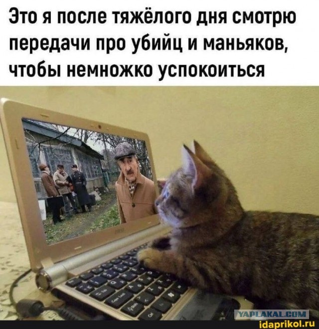 Веселое настроение в картинках (26.09.2025)