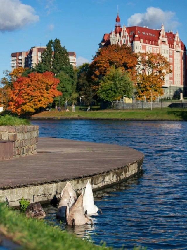 Техас готов к Хэллоуину