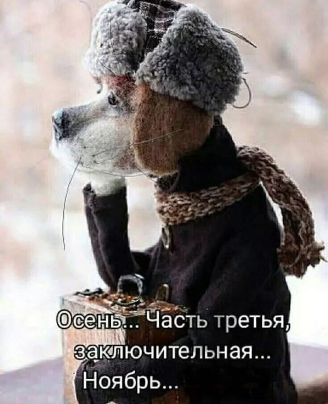 Маленькая пятница 5.11