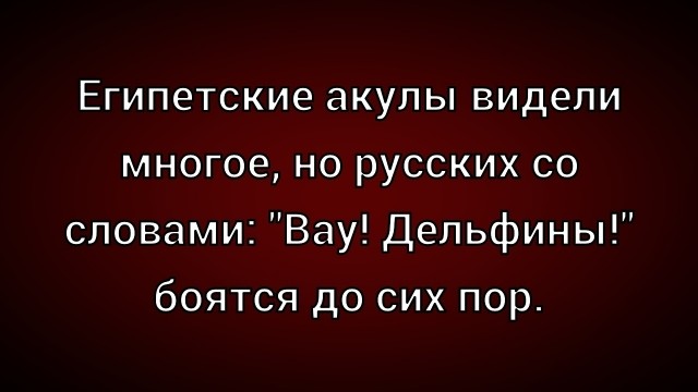 Так себе картинки 05.12.25