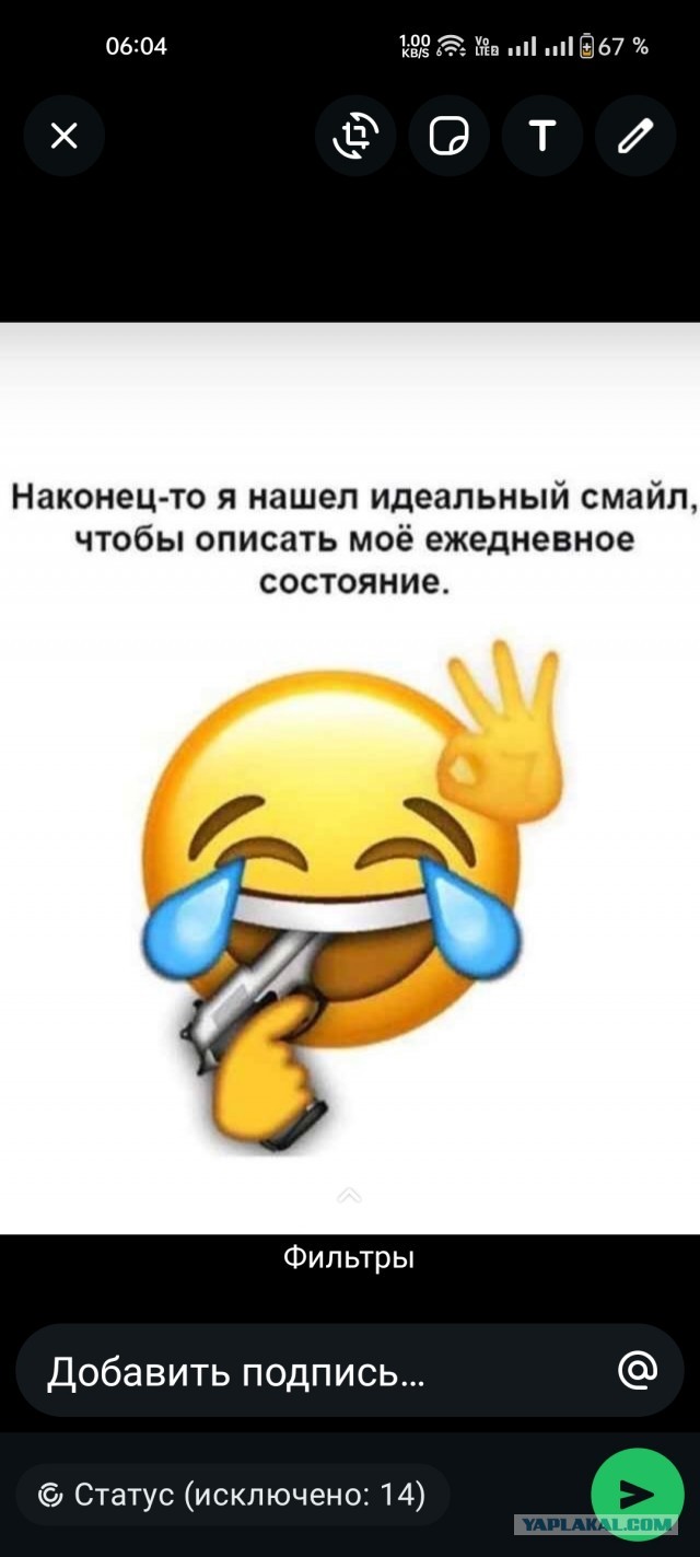 Аналог Октоберфеста может появиться в России